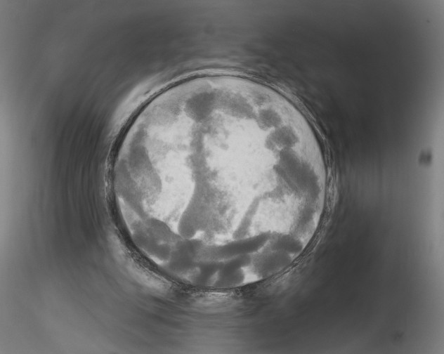 X0000114550151200911301232