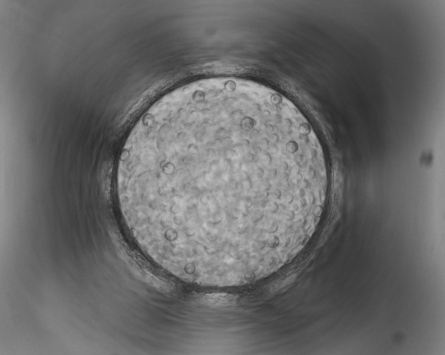 X0000114550153200911301232