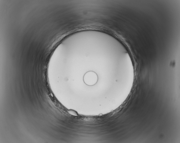 X0000114550154200911301232