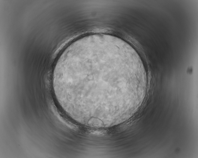 X0000114550155200911301232
