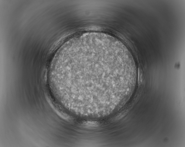 X0000114550157200911301232