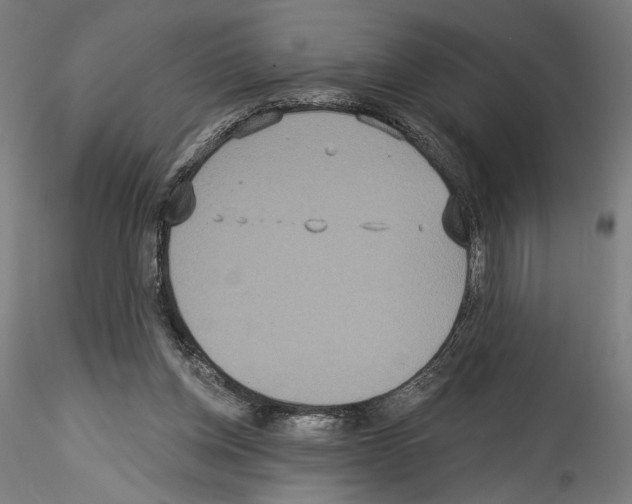X0000114550158200911301232