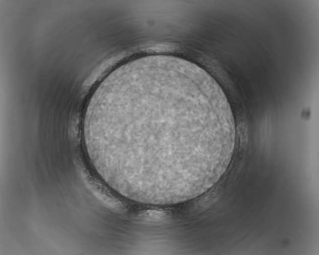 X0000114550159200911301232
