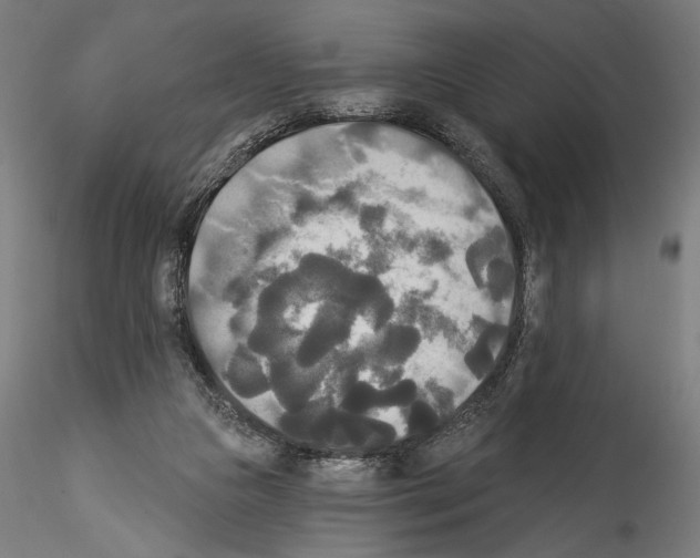 X0000114550161200911301232