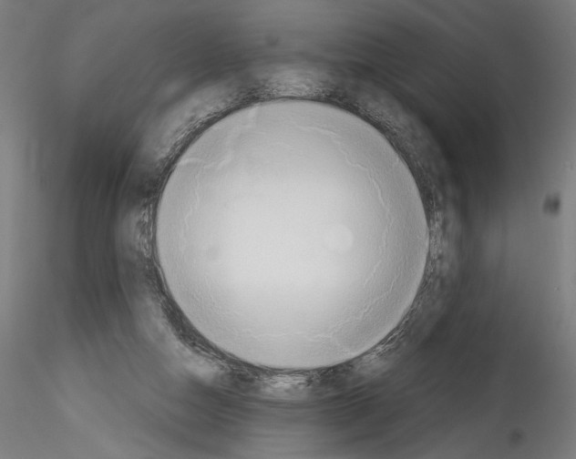 X0000114550162200911301232