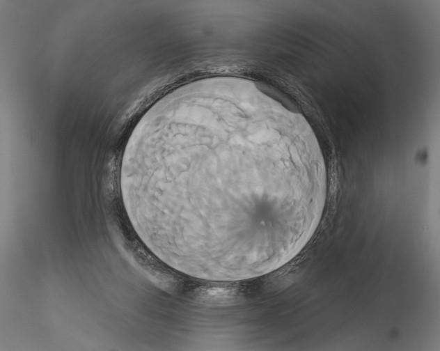 X0000114550163200911301232