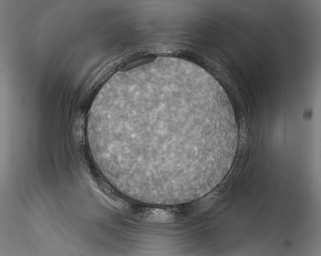 X0000114550166200911301232