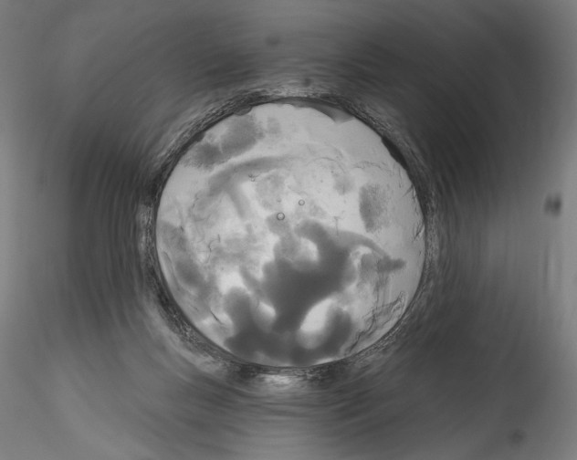 X0000114550167200911301232