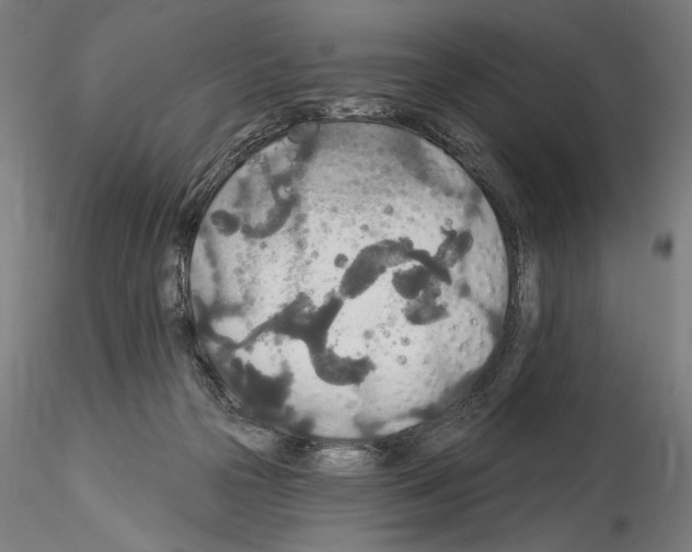 X0000114550169200911301232