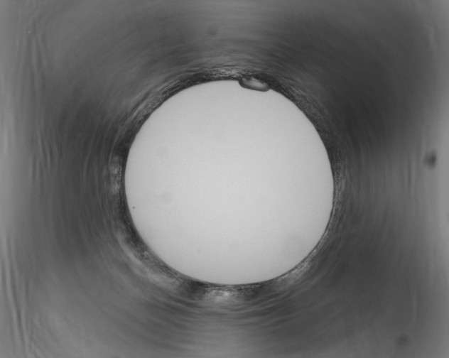 X0000114550174200911301233