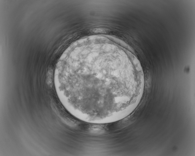 X0000114550175200911301233