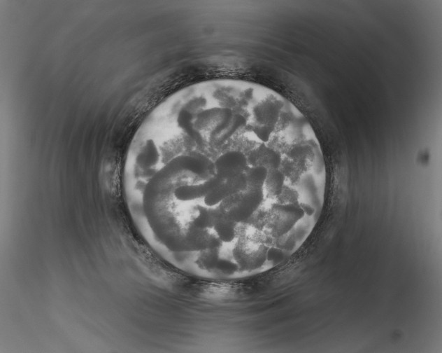 X0000114550177200911301233