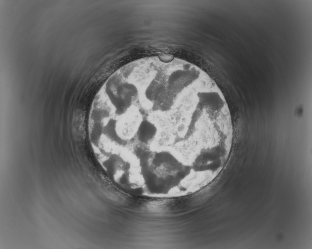 X0000114550178200911301233