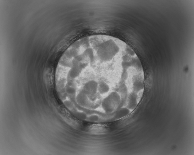 X0000114550179200911301233