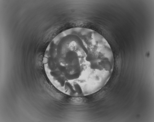 X0000114550181200911301233