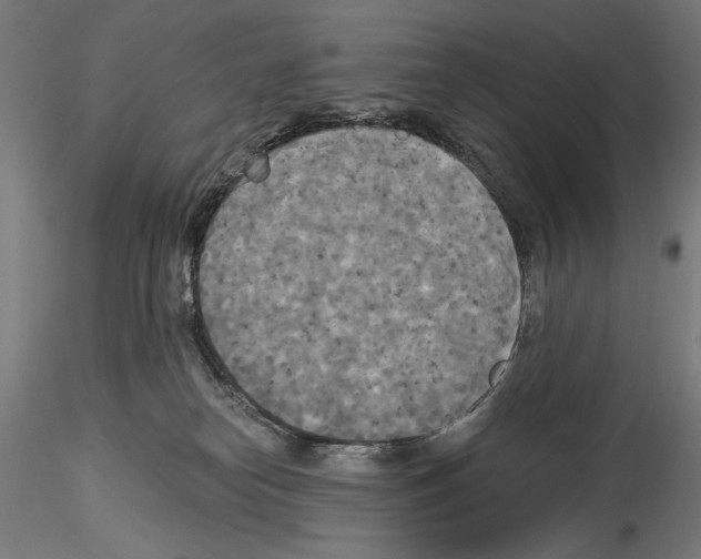X0000114550182200911301233