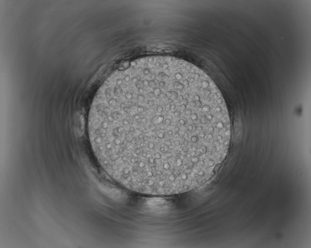 X0000114550183200911301233