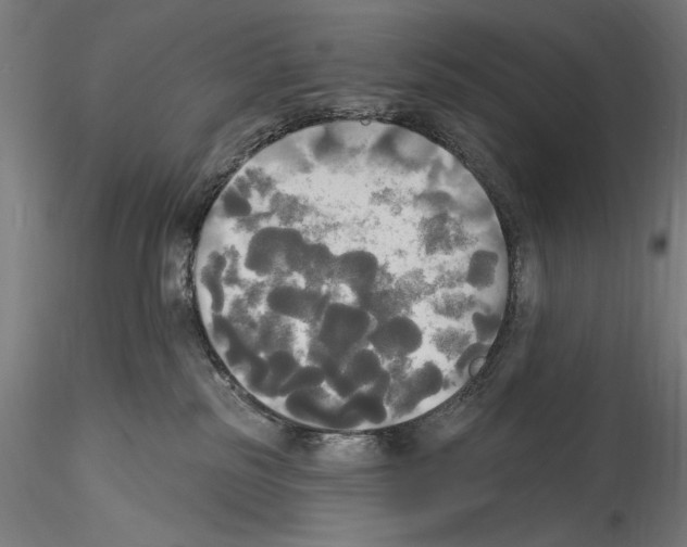 X0000114550185200911301233