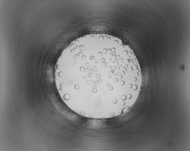 X0000114550187200911301233