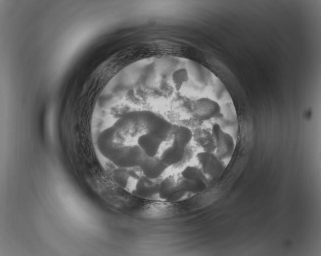 X0000114550189200911301233