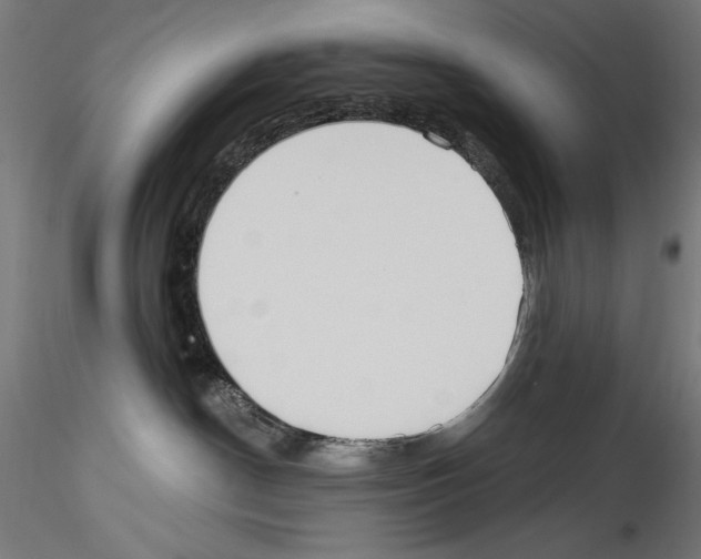 X0000114550190200911301233