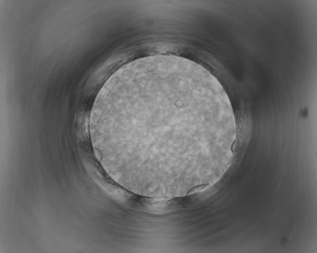 X0000114550191200911301233