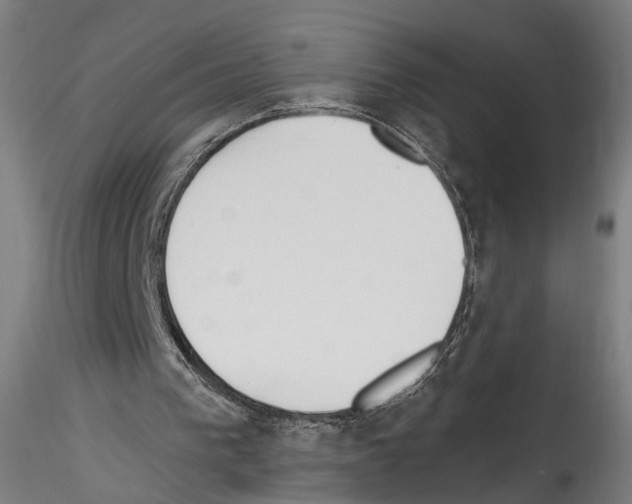 X0000114550193200911301232