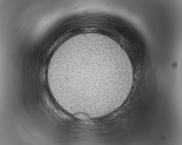 X0000114550194200911301232