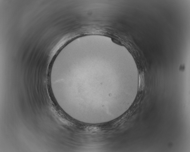 X0000114550195200911301232