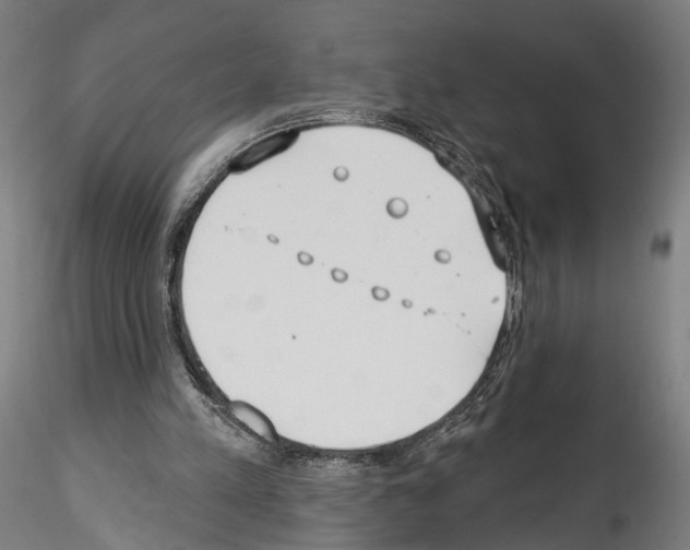 X0000114550197200911301232