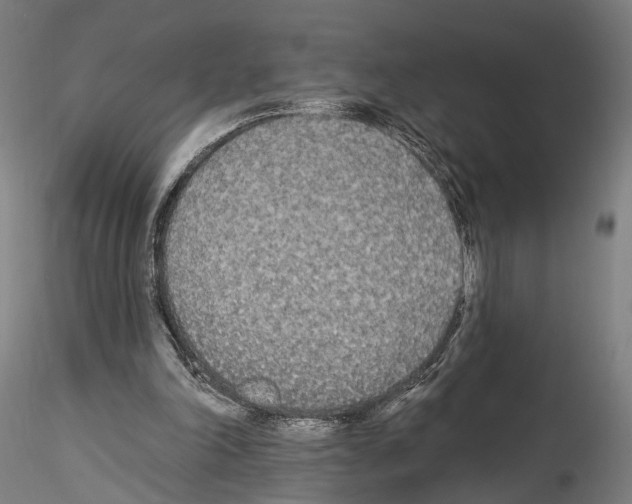 X0000114550198200911301232