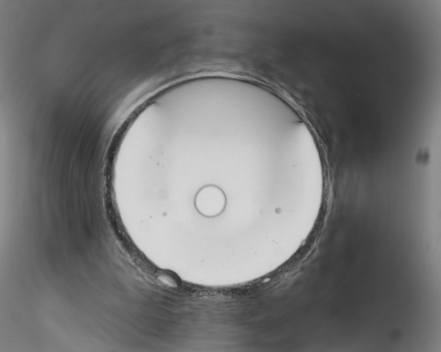 X0000114550199200911301232