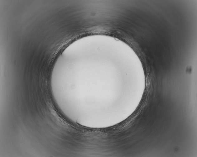 X0000114550201200911301232