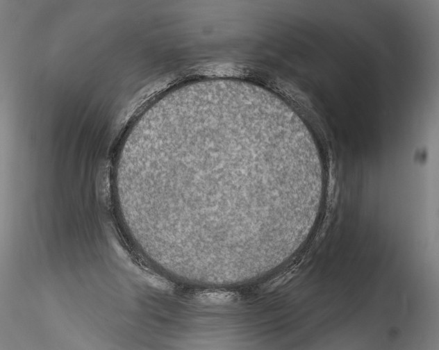 X0000114550202200911301232