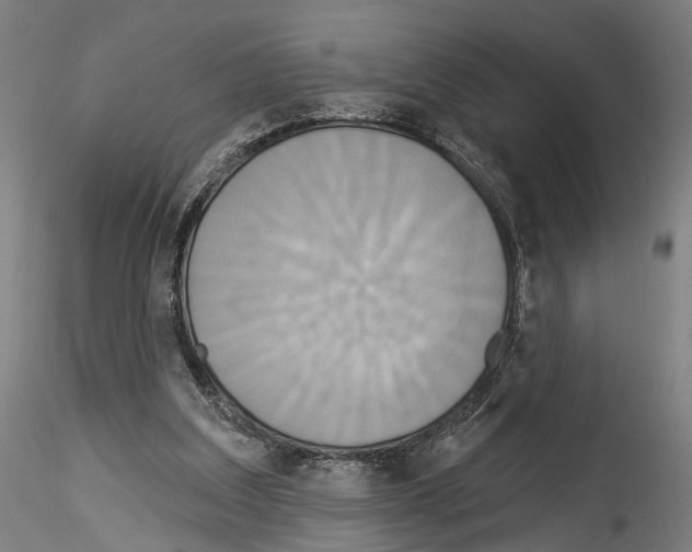 X0000114550203200911301232