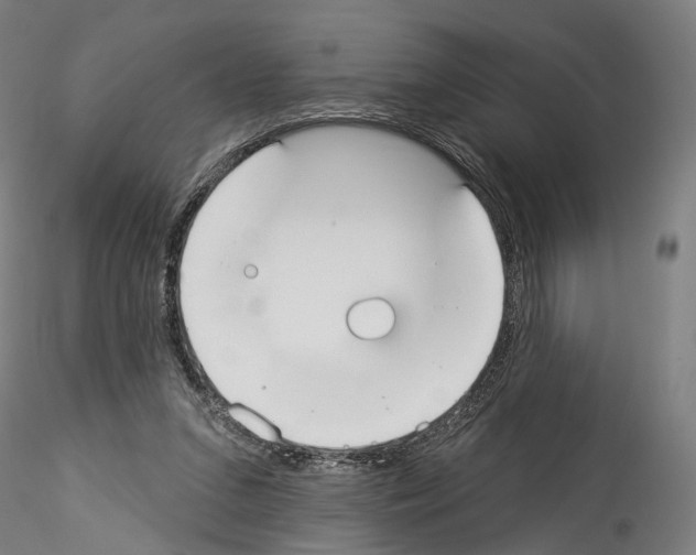 X0000114550207200911301232