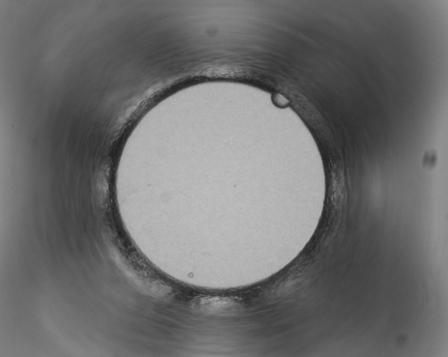 X0000114550208200911301232