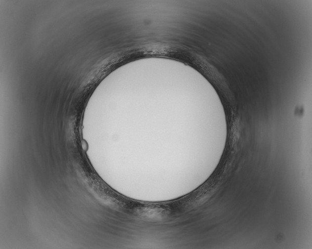 X0000114550209200911301232