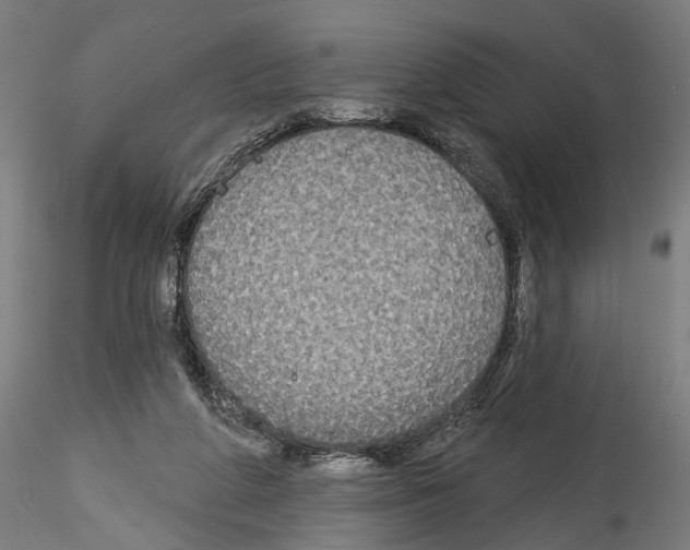 X0000114550210200911301232