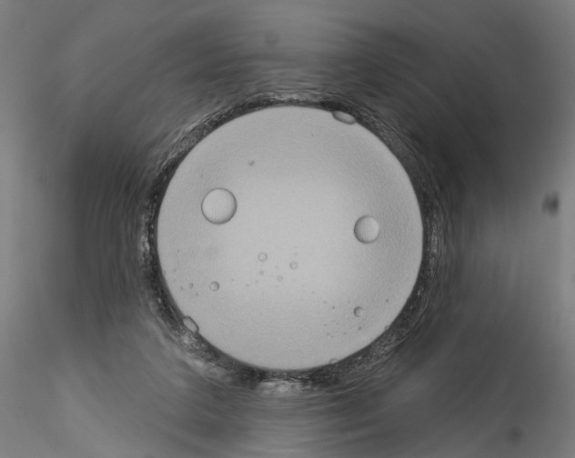X0000114550211200911301232