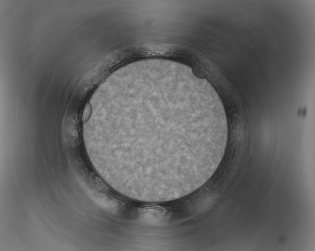 X0000114550215200911301232