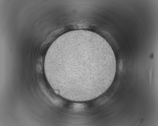 X0000114550218200911301232