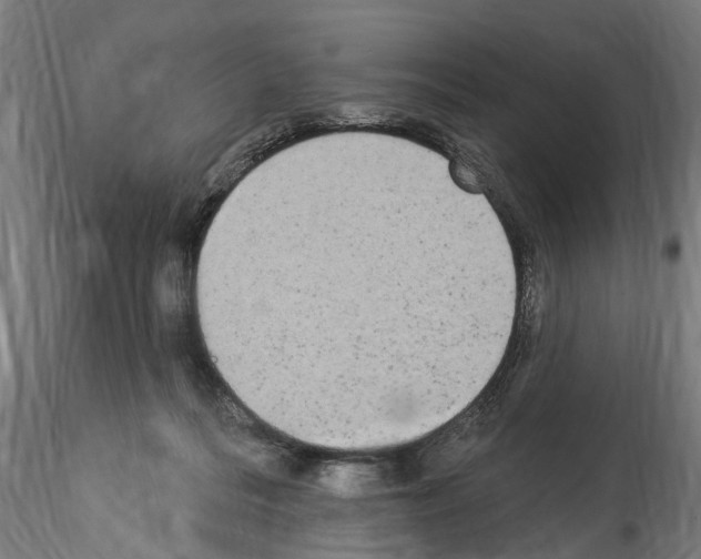 X0000114550220200911301232