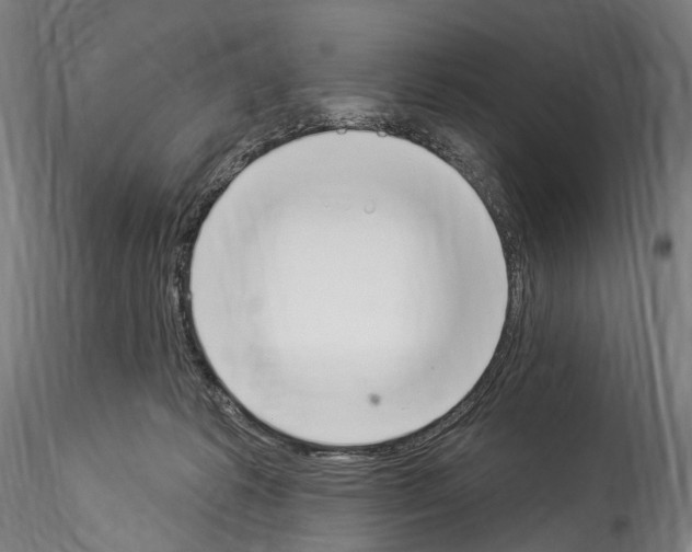 X0000114550221200911301232