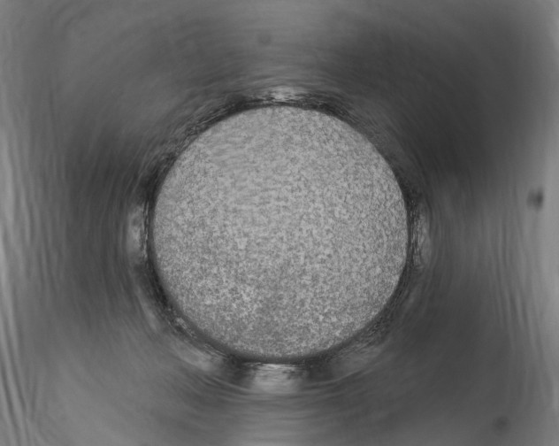 X0000114550222200911301232