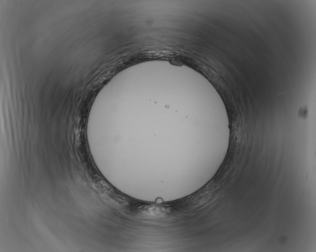 X0000114550223200911301232