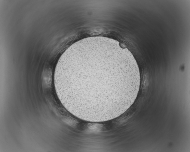 X0000114550226200911301232