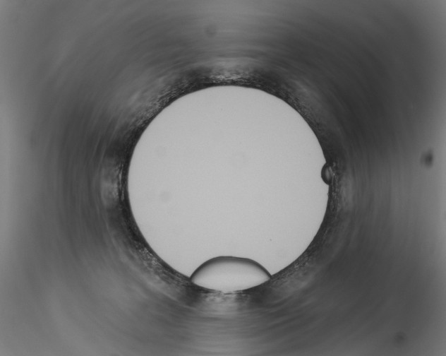 X0000114550227200911301232