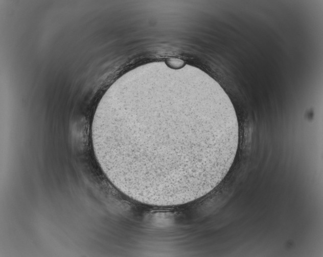 X0000114550228200911301231