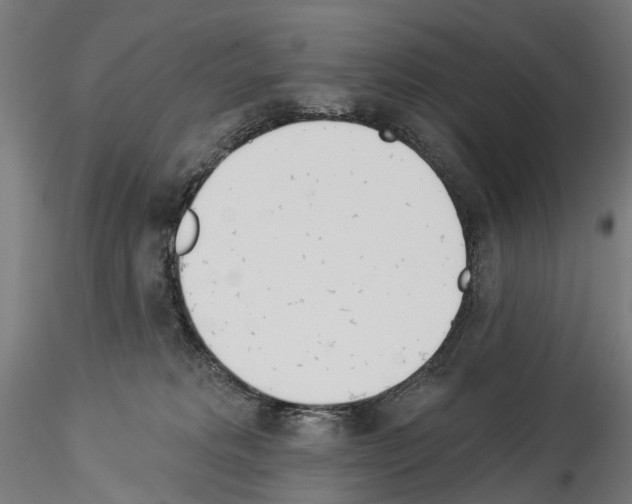 X0000114550229200911301231
